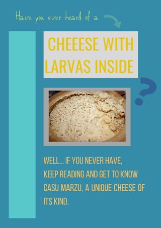 CHEEESE WITH
LARVAS INSIDE
Well...Ifyouneverhave,
keepreadingandgettoknow
Casu Marzu, a unique cheese of
itskind.
?
Have you ever heard of a
 
