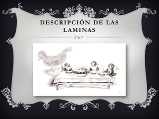 D E S C R I P C I ÓN D E L A S
         L AM I NAS
 
