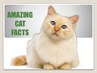 AMAZING 
CAT 
FACTS 
 