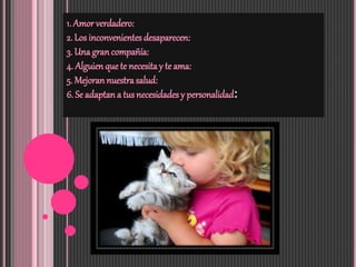 1. Amor verdadero:
2. Los inconvenientes desaparecen:
3. Una gran compañía:
4. Alguien que te necesitay te ama:
5. Mejoran nuestra salud:
6. Se adaptan a tus necesidades y personalidad: