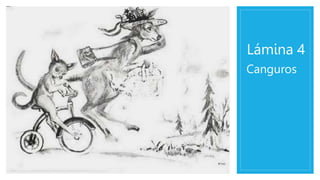 Lámina 4
Canguros
 