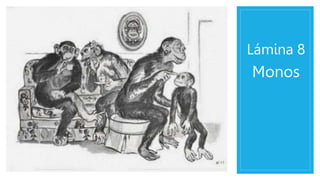 Lámina 8
Monos
 