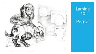 Lámina
10
Perros
 