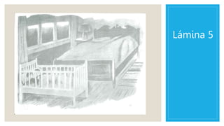 Lámina 5
 