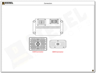 Connectors
OEM Connector
ECM Connector
 