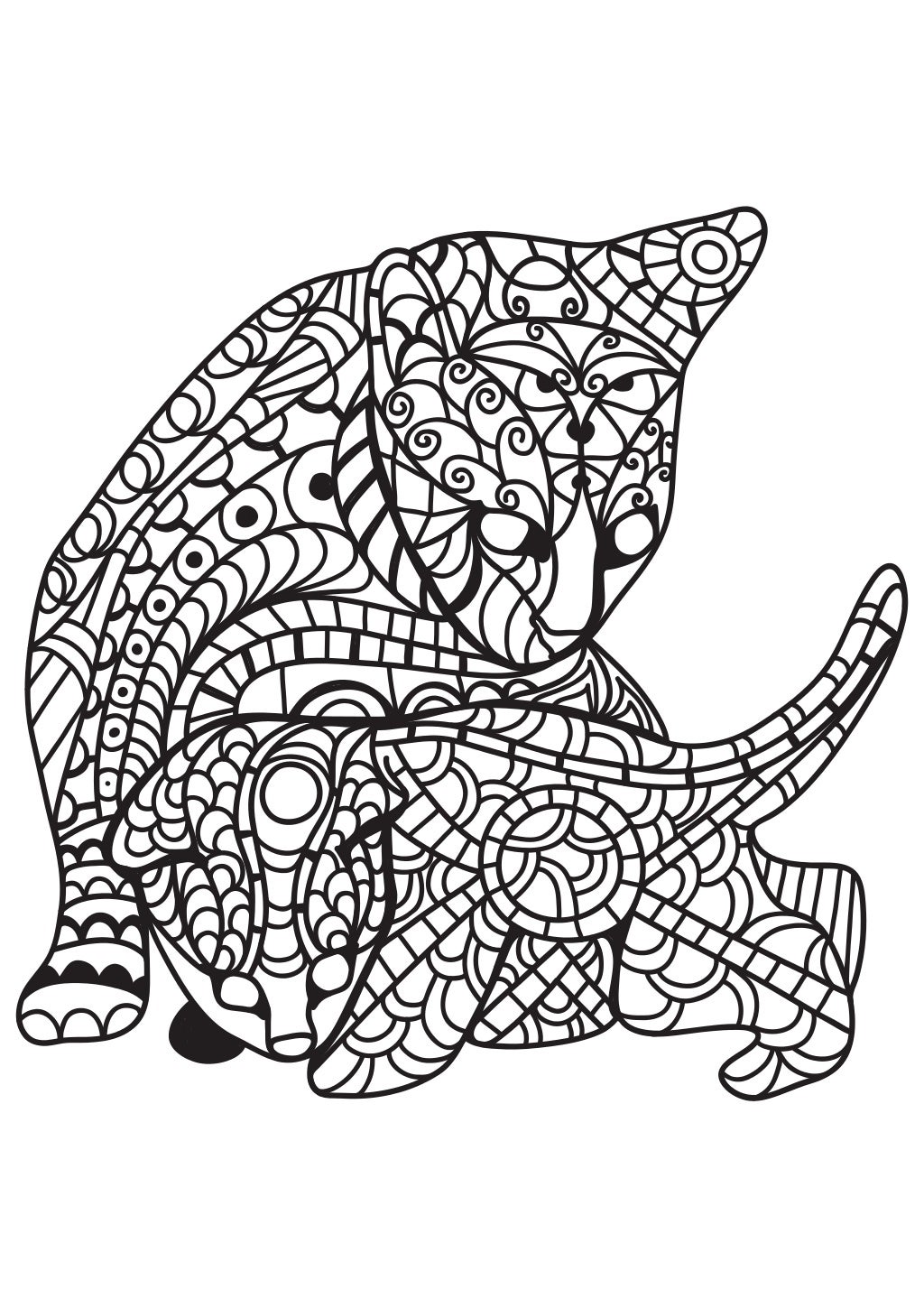 Cat Coloring Pages For Adults - Printable Coloring Book
