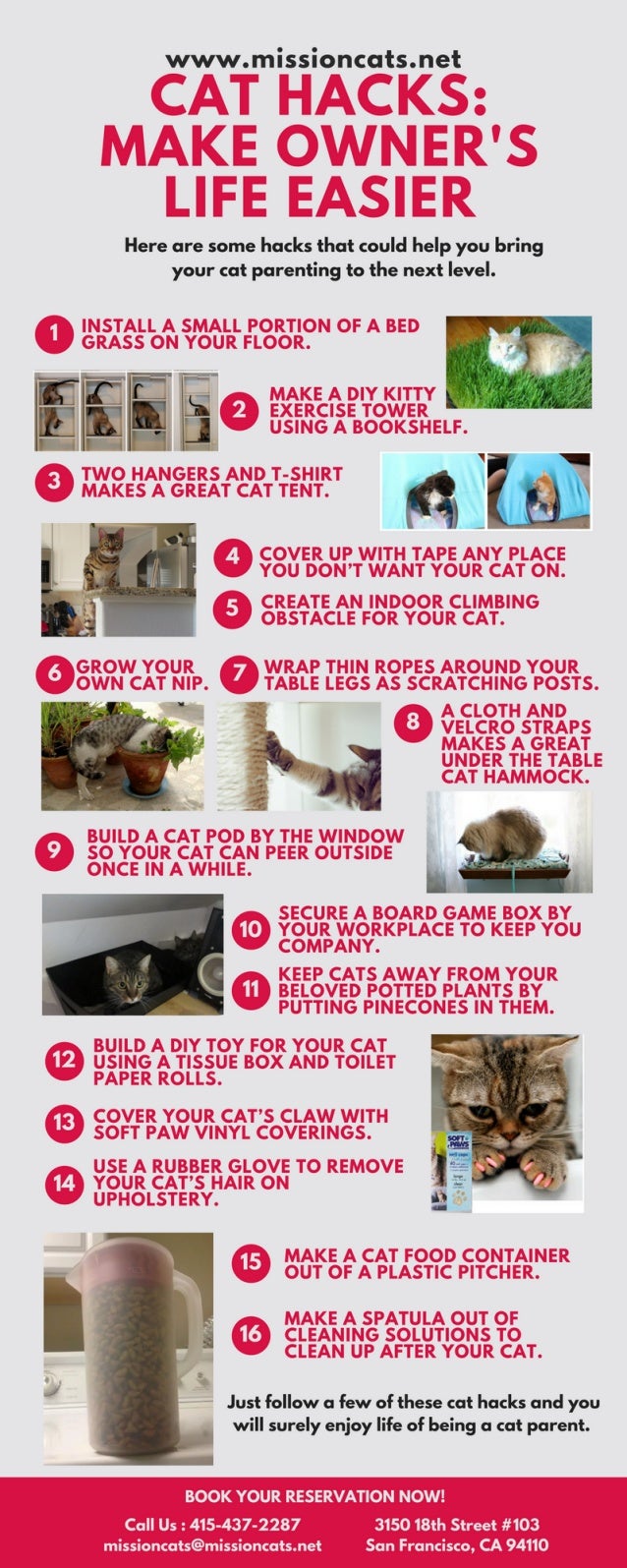 Cat Hacks Make Owner's life Easier