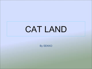 CAT LAND By SEKKO 