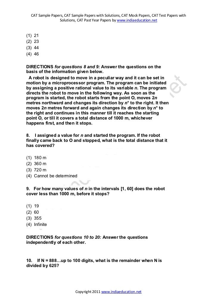 Kitten essay help