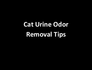 Cat Urine Odor
Removal Tips
 