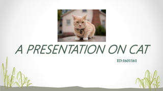 A PRESENTATION ON CAT
ID:1601161
 