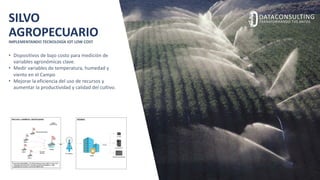 SILVO
AGROPECUARIO
IMPLEMENTANDO TECNOLOGÍA IOT LOW COST
• Dispositivos de bajo costo para medición de
variables agronómicas clave.
• Medir variables de temperatura, humedad y
viento en el Campo
• Mejorar la eficiencia del uso de recursos y
aumentar la productividad y calidad del cultivo.
 