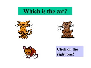 Which is the cat? Click on the right one! 