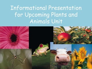 Informational Presentation
for Upcoming Plants and
Animals Unit
 