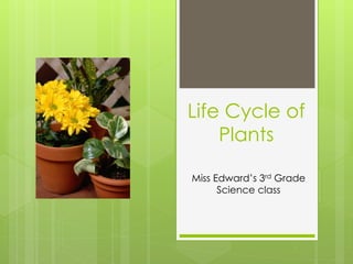 Life Cycle of
Plants
Miss Edward’s 3rd Grade
Science class
 