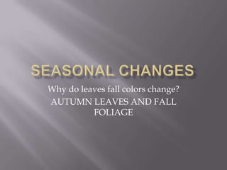 Why do leaves fall colors change?
AUTUMN LEAVES AND FALL
          FOLIAGE
 