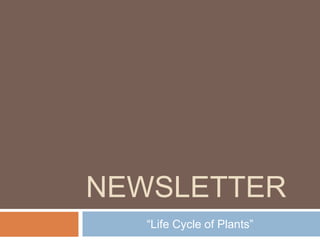 Newsletter “Life Cycle of Plants” 