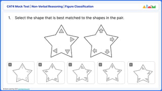 CAT 4 SAMPLE QUESTIONS PDF visual data 5