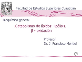 Catabolismo de lípidos: lipólisis.    - oxidación Facultad de Estudios Superiores Cuautitlán Bioquímica general Profesor: Dr. J. Francisco Montiel 