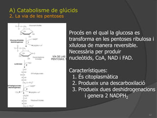 81. Tipus de catabolismeSegons el graud’oxidació de la matèriaorgànica i segonsquiésl’acceptor final d’electrons es distingeixen:A. Respiració: l’oxidacióés completa i l’acceptor final d’electronsés un compost inorgànic:* Respiracióaeròbica: l’oxigenésl’acceptor; elsproductesfinalsdesprés de la cadena respiratòriasón l’H2O i CO2. 36-38 ATPs* Respiracióanaeròbica: el nitrogen (NO3-), el sofre (SO42-) o CO2sónelsacceptorsfinalsdonantlloc a NH4, SH2 o CH4després de la cadena respiratòria. 36-38 ATPs. BacterisB. Fermentació: oxidació no completa de la matèriaorgànica. Un compost orgànicésl’acceptor final del electrons. S’obté poca energia (2 ATP) doncs no hi ha cadena respiratòria. Fongs