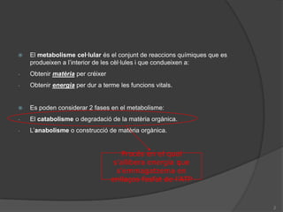 2Procés en el qual s’allibera energia que s’emmagatzema en enllaços fosfat de l’ATPEl metabolisme cel·lular és el conjunt de reaccions químiques que es produeixen a l’interior de les cèl·lules i que condueixen a:Obtenir matèria per créixer