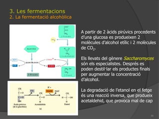 Dins la matriu els electrons i els protons es combinen amb oxigen per forma aigua.