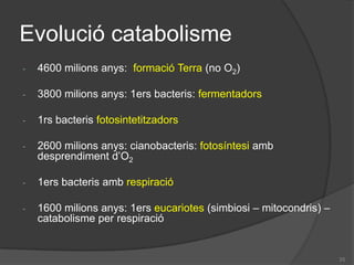 23C) Catabolisme de les proteïnes i els aminoàcidsLes proteïnestenenfuncionsdiferents a l’energètica. Només si estan en excés, es degraden elsseusAminoàcids.També en situacions de dejuniprolongat.En el catabolismedelsAahi ha tres processos:Transaminació