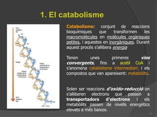 Com es sintetitza ATP?Fosforilació a nivell de substrat (quinases): síntesi ATP gràcies a l’eneriga que s’alliberad’unabiomolècula (substrat) quan es trenca algundelsseusenllaçosrics en energia. P.e: glicòlisi.