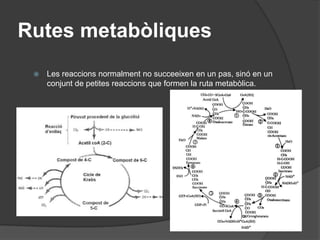  Per mitjàd’enzims del grup de les ATP-sintetases: a les crestesdelsmitocondris i alstilacoidesdelscloroplastsquan un fluz de protons (H+) travessaaquestsenzims.ATP (adenosin trifosfat)ATP: moneda energètica – energiad’úsinmediat