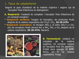 Rutes metabòliquesLes reaccions normalment no succeeixen en un pas, sinó en un conjunt de petites reaccions que formen la ruta metabòlica.
