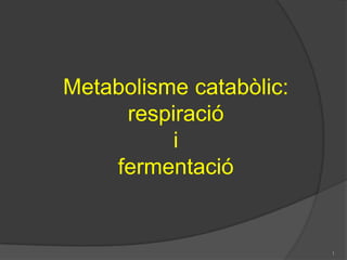 Metabolismecatabòlic:respiracióifermentació 1 