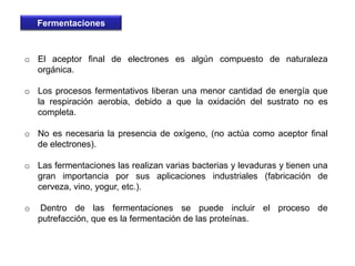 Procesos catabólicos aerobiosAminoácidosGrasasGlúcidosDesaminaciónBeta oxidaciónGlucólisisAcido pirúvicoAcetilcoACiclo de KrebsCadena respiratoria