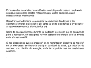En este proceso se produce una oxidación que genera dos moléculas de NADH. 