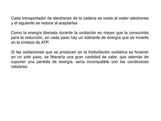 La energía producida por la oxidación es aprovechada para fabricar ATP a partir de ADP y fosfato inorgánico (“fosforilación a nivel de sustrato”). 
