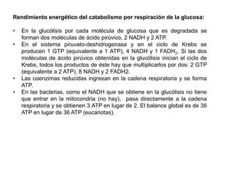 MatrizmitocondrialFADNAD+Glicerol 3 PGlicerol 3 PNADHDHAPDHAPFADH2Espacio intermembranaCitosolA la cadena respiratoriaMembrana mitocondrial externaMembrana mitocondrial interna