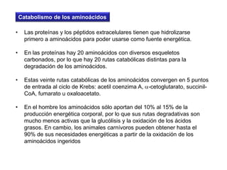 complejo citocromo-oxidasaLa energía que se libera cuando pasan los electrones se utiliza para bombear protones desde la matriz mitocondrial al espacio intermembrana.
