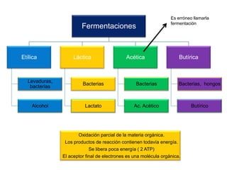 A partir de un NADH+H+ que ingresa en la cadena respiratoria se obtienen 3ATP. 