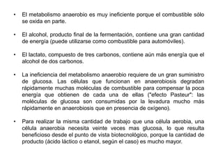 Al final de la cadena respiratoria aeróbica los hidrógenos se unen al oxígeno y forman agua.
