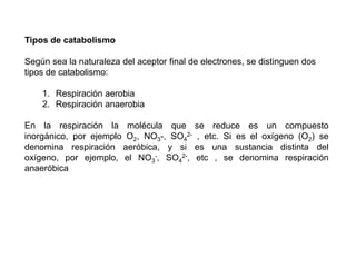 En las reacciones de oxidación y reducción, frecuentemente los protones (H+) y los electrones (e-) van separados: Los electrones antes de llegar a la molécula aceptora final de electrones, son captados por los llamados transportadores de electrones, que son los citocromos. El paso de los electrones de un citocromo a otro conlleva una disminución del nivel energético del electrón y la liberación de una energía que es utilizada para fosforilar el ADP y formar moléculas de ATP.Si se trata de una oxidación por oxigenación, ha de haber una sustancia donadora de átomos de oxígeno.electronesNivel energéticoelectronescitocromos