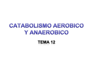 CATABOLISMO AEROBICO Y ANAEROBICO TEMA 12 