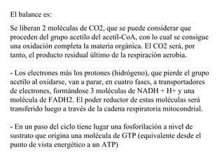 El balance es: Se liberan 2 moléculas de CO2, que se puede considerar que proceden del grupo acetilo del acetil-CoA, con lo cual se consigue una oxidación completa la materia orgánica. El CO2 será, por tanto, el producto residual último de la respiración aerobia. - Los electrones más los protones (hidrógeno), que pierde el grupo acetilo al oxidarse, van a parar, en cuatro fases, a transportadores de electrones, formándose 3 moléculas de NADH + H+ y una molécula de FADH2. El poder reductor de estas moléculas será transferido luego a través de la cadena respiratoria mitocondrial. - En un paso del ciclo tiene lugar una fosforilación a nivel de sustrato que origina una molécula de GTP (equivalente desde el punto de vista energético a un ATP)  