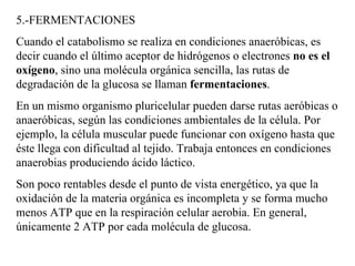 5.-FERMENTACIONES Cuando el catabolismo se realiza en condiciones anaeróbicas, es decir cuando el último aceptor de hidrógenos o electrones  no es el oxígeno , sino una molécula orgánica sencilla, las rutas de degradación de la glucosa se llaman  fermentaciones . En un mismo organismo pluricelular pueden darse rutas aeróbicas o anaeróbicas, según las condiciones ambientales de la célula. Por ejemplo, la célula muscular puede funcionar con oxígeno hasta que éste llega con dificultad al tejido. Trabaja entonces en condiciones anaerobias produciendo ácido láctico. Son poco rentables desde el punto de vista energético, ya que la oxidación de la materia orgánica es incompleta y se forma mucho menos ATP que en la respiración celular aerobia. En general, únicamente 2 ATP por cada molécula de glucosa. 