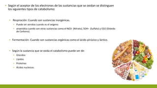 ▪ Según el aceptor de los electrones de las sustancias que se oxidan se distinguen
los siguientes tipos de catabolismo:
▪ Respiración: Cuando son sustancias inorgánicas.
▪ Puede ser aerobia cuando es el oxígeno
▪ anaerobia cuando son otras sustancias como el NO3- (Nitrato), SO4= (Sulfato) y CO2 (Dióxido
de Carbono).
▪ Fermentación: Cuando son sustancias orgánicas como el ácido pirúvico y láctico.
▪ Según la sustancia que se oxida el catabolismo puede ser de:
▪ Glúcidos
▪ Lípidos
▪ Proteínas
▪ Ácidos nucleicos.
 