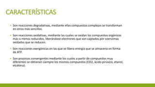 CARACTERÍSTICAS
▪ Son reacciones degradativas, mediante ellas compuestos complejos se transforman
en otros más sencillos.
▪ Son reacciones oxidativas, mediante las cuales se oxidan los compuestos orgánicos
más o menos reducidos, liberándose electrones que son captados por coenzimas
oxidadas que se reducen.
▪ Son reacciones exergónicas en las que se libera energía que se almacena en forma
de ATP.
▪ Son procesos convergentes mediante los cuales a partir de compuestos muy
diferentes se obtienen siempre los mismos compuestos (CO2, ácido pirúvico, etanol,
etcétera).
 