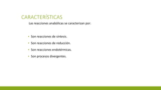 CARACTERÍSTICAS
Las reacciones anabólicas se caracterizan por:
▪ Son reacciones de síntesis.
▪ Son reacciones de reducción.
▪ Son reacciones endotérmicas.
▪ Son procesos divergentes.
 