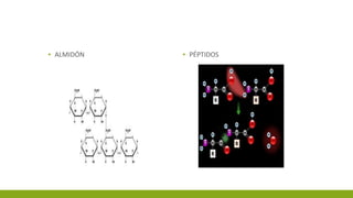 ▪ ALMIDÓN ▪ PÉPTIDOS
 