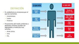 DEFINICIÓN
▪ EL catabolismo es el proceso por el
que los nutrientes
▪ Carbohidratos
▪ Lípidos
▪ Proteínas
▪ Provenientes del medio ambiente o
depósitos celulares pueden ser
degradados a moléculas mas
sencillas.
▪ Acido Láctico
▪ Urea
▪ CO2
 