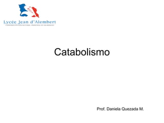 Catabolismo
Prof. Daniela Quezada M.
 