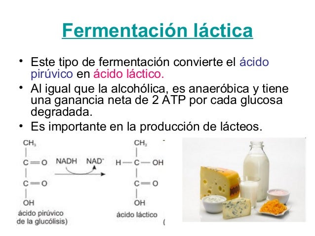 Los métodos del tratamiento del alcoholismo en amerike