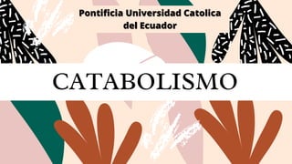 CATABOLISMO
Pontificia Universidad Catolica
Pontificia Universidad Catolica
del Ecuador
del Ecuador
 